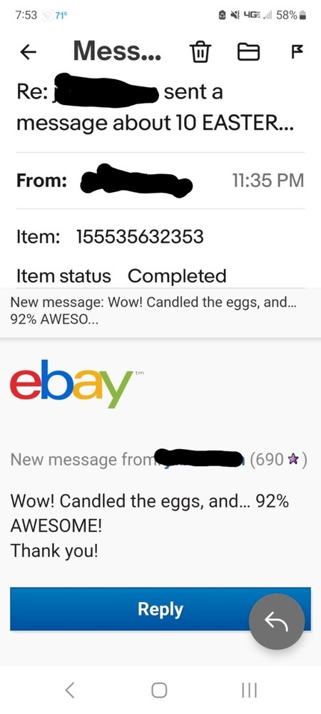 12 Eastern Wild Turkey Hatching Eggs