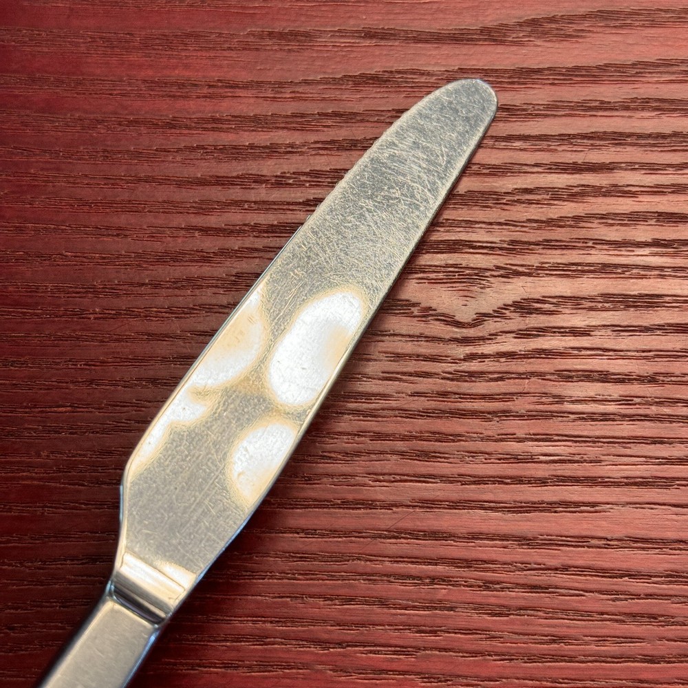 Paella By Oneida Silver Silverplate Serrated Solid Handle Dinner Knife 9 1/5”