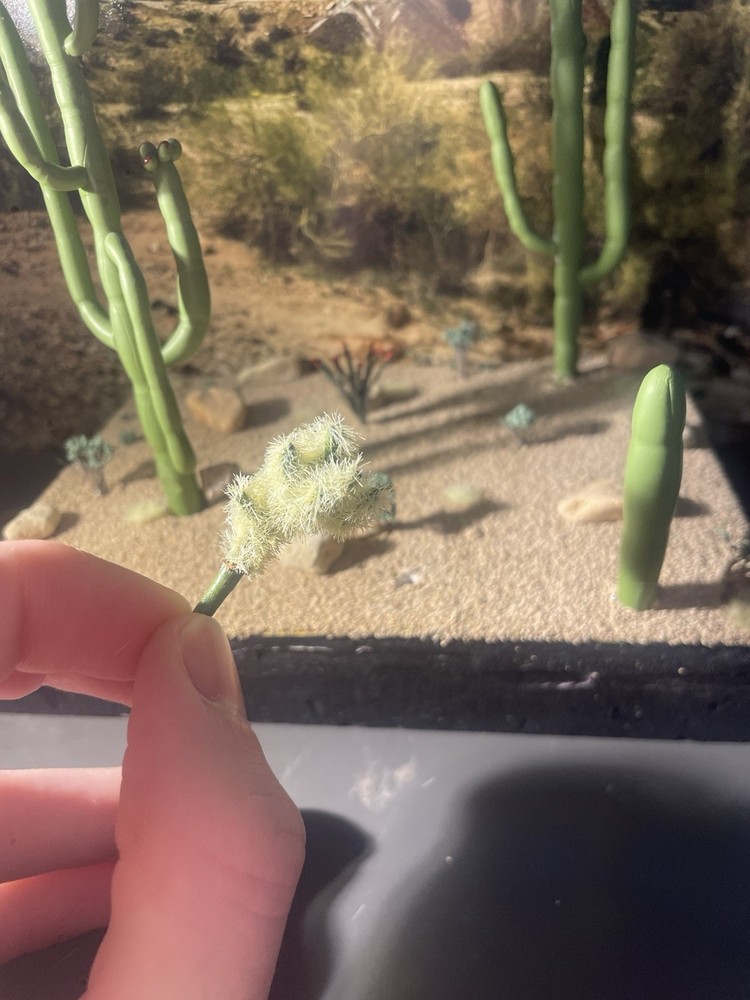 Ho Scale Cactus, Teddy Bear Cholla