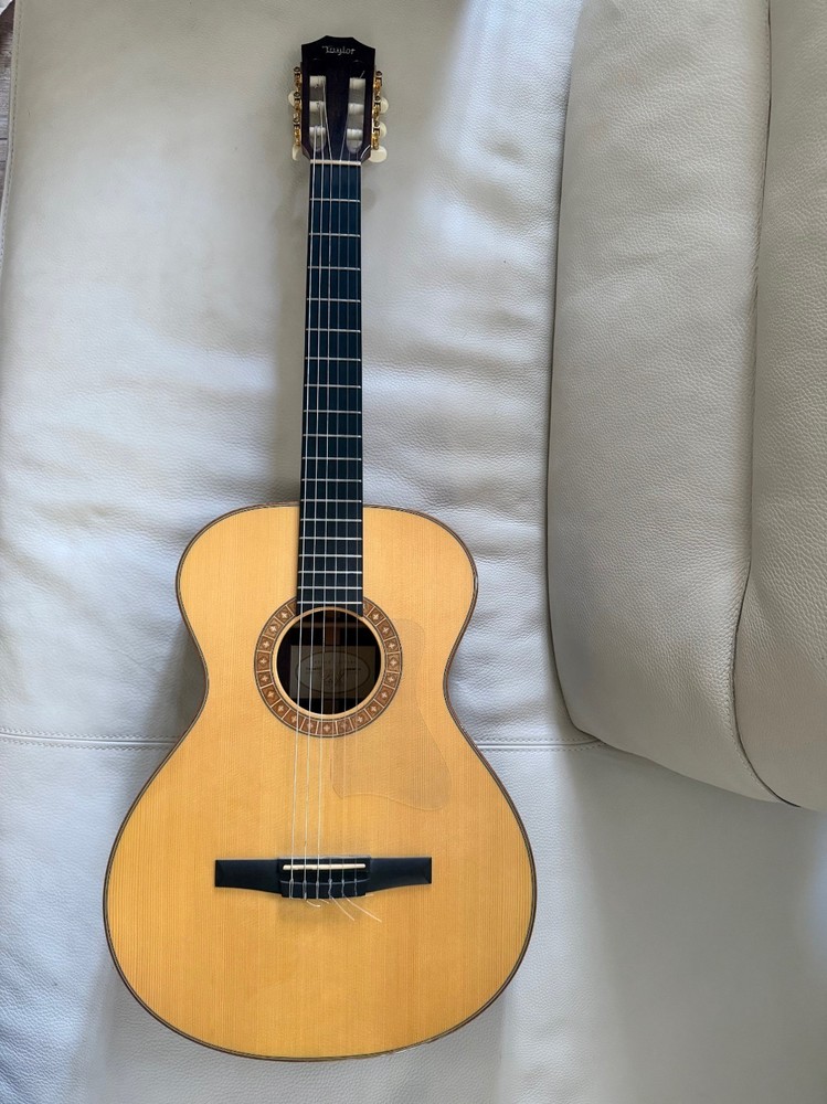 Taylor 2009 Custom GC