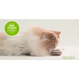 Immune Support L Lysine Powder for Cats