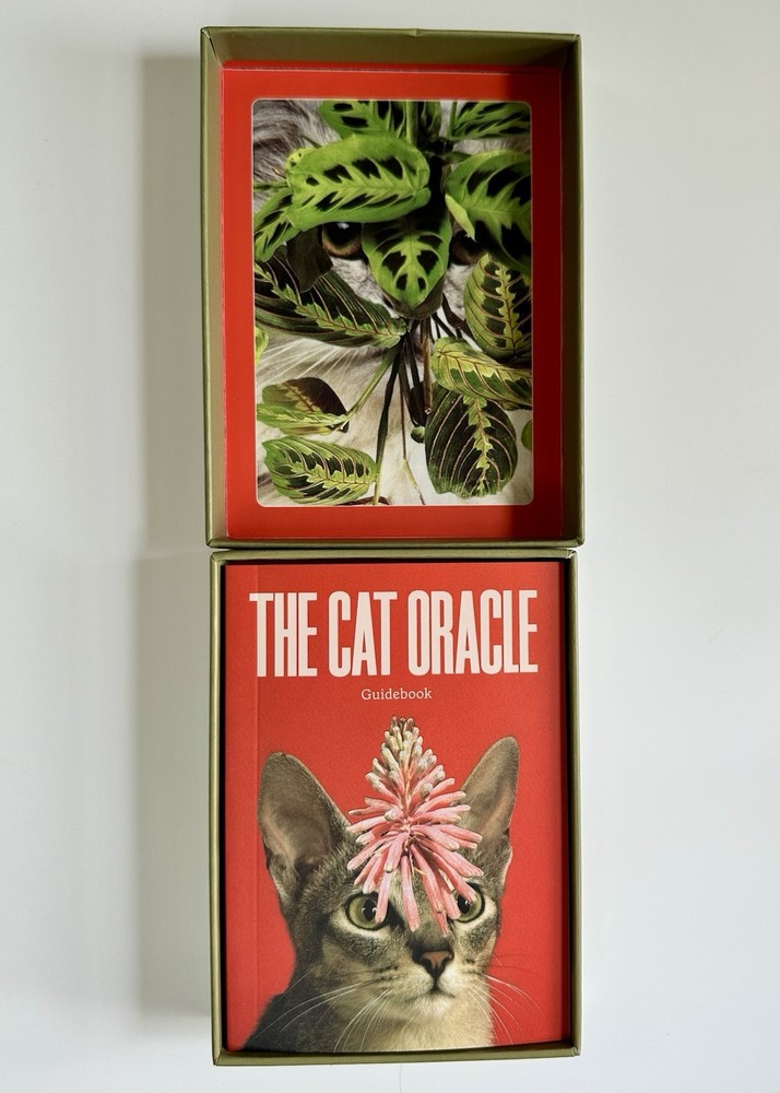 The Cat Oracle 33 Card Deck and Guidebook for Divination