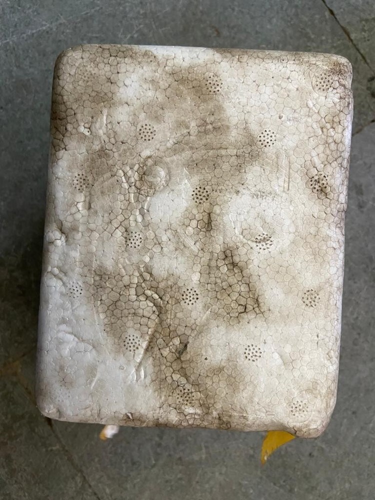 VTE-Filter 39419 Differential Pressure Indicator