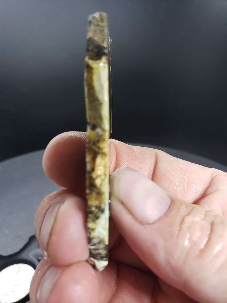 Nevada Gecko Variscite Slab