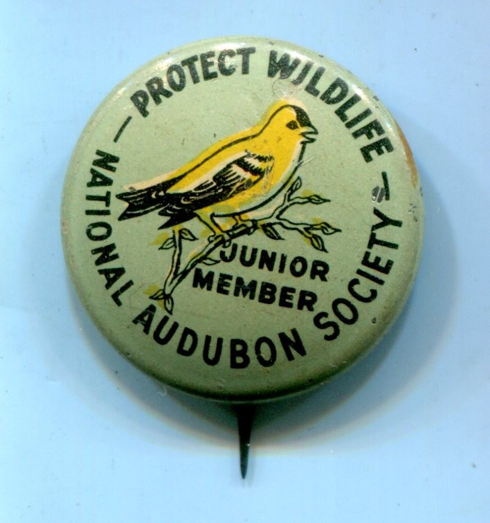 National Audubon Society Junior Member Pinback Button