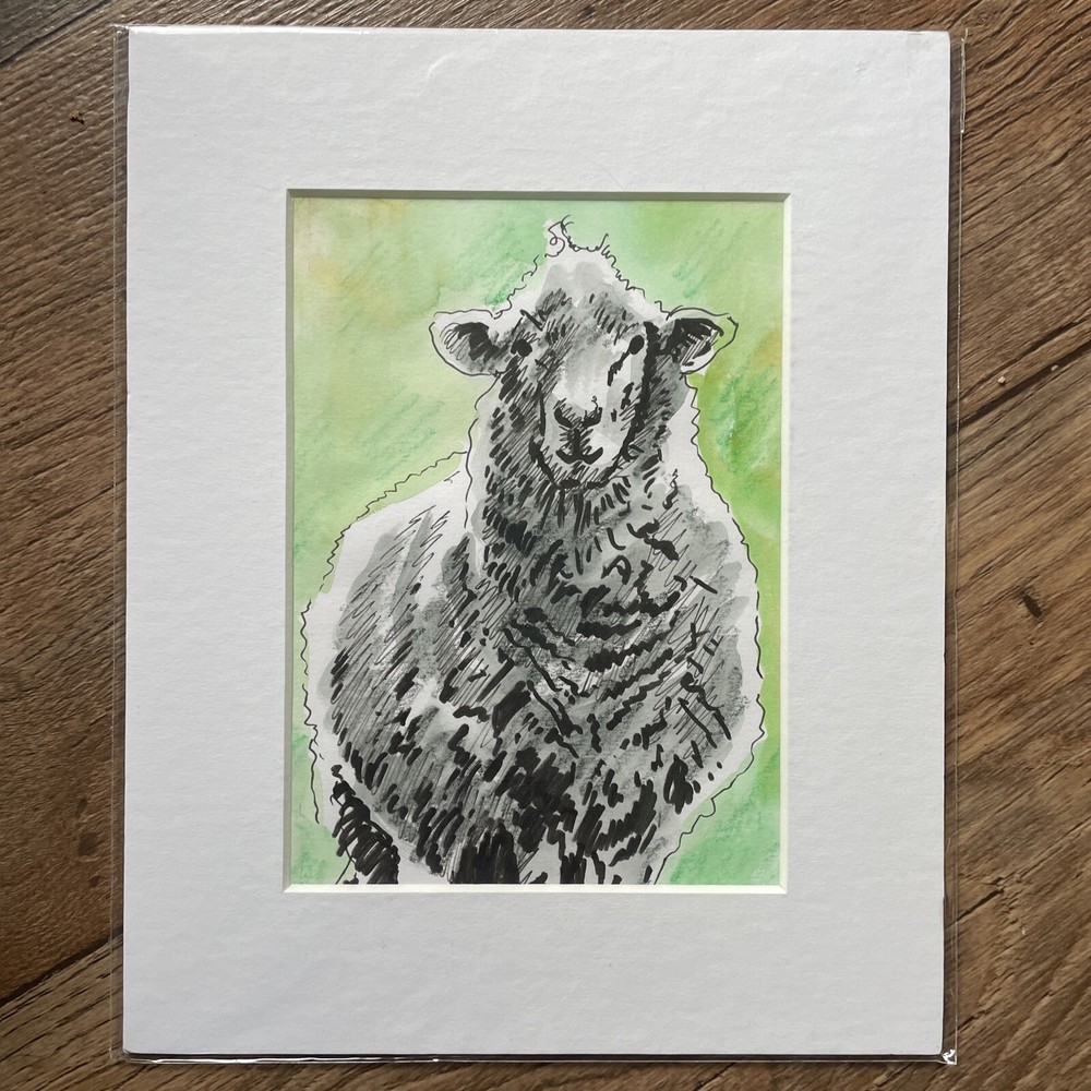 Original Sheep And Lamb Mounted Drawings X 3