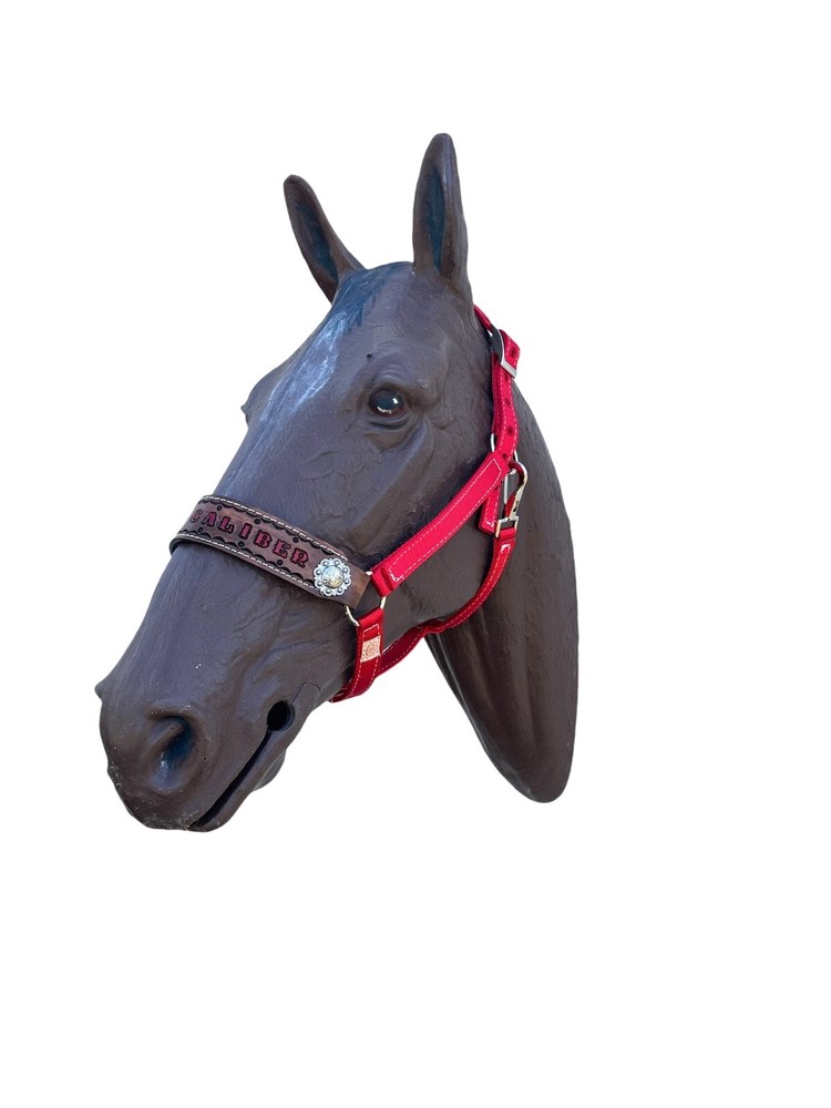 Personalized Nylon Red Horse Halter