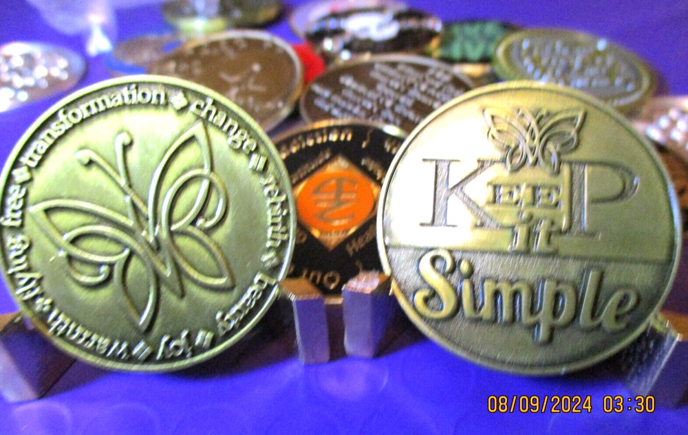 Coin Chip Brass Pocket Token Recovery Narcotics Anonymous