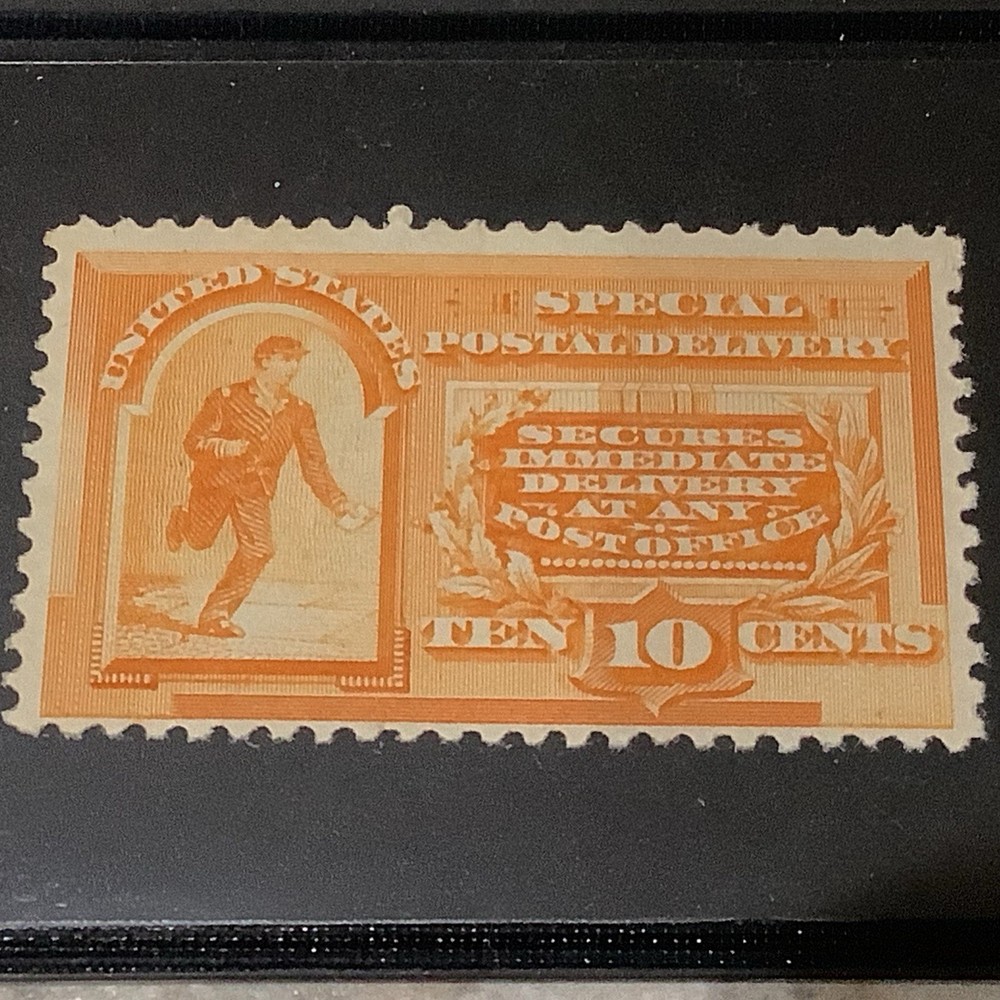 USA 1893 Special Delivery Scott E3 MLH