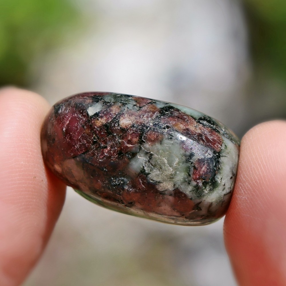 Polished Eudialyte (EUD42)