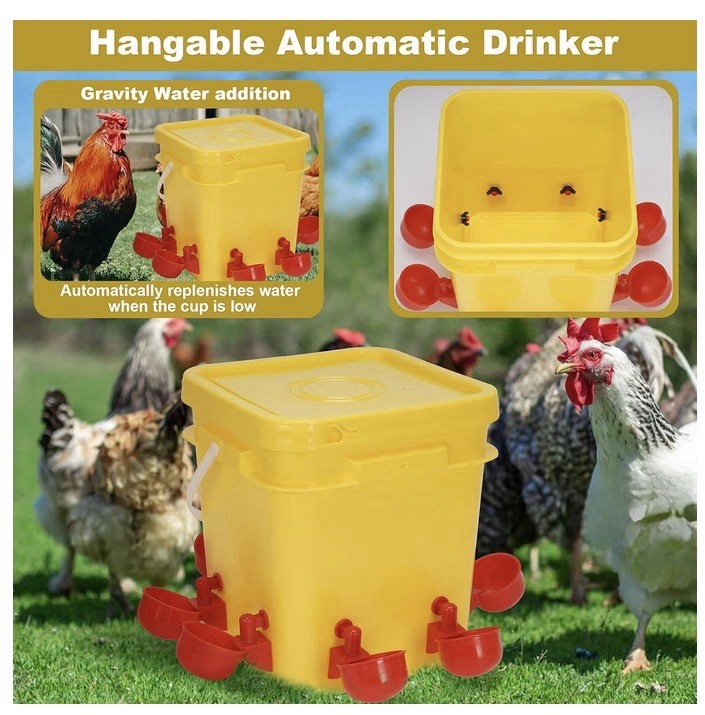 Automatic Chicken Coop Waterer And Feeder