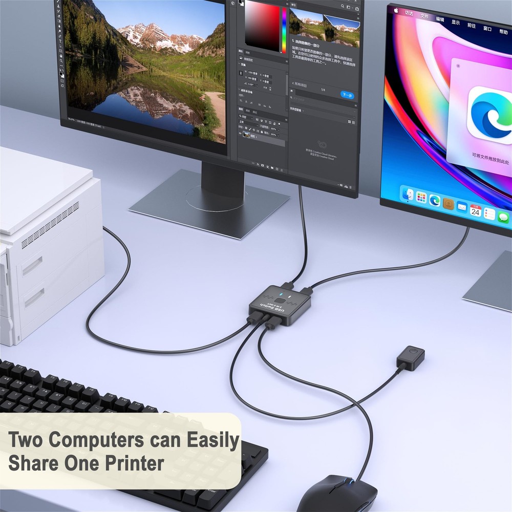 USB Switch 2 in 2 Out for Sharing Keyboard and Mouse Between Two Computers, A...