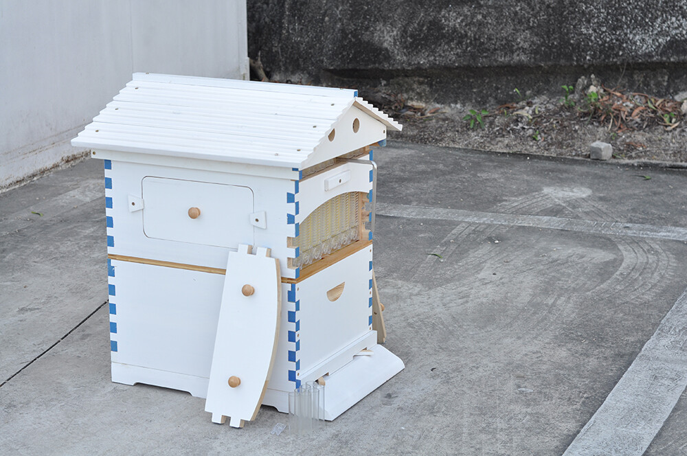 2026 Auto Bee Hives Beekeeping Starter Kit Bee Box + 7 Plastic Beekeeping Frames