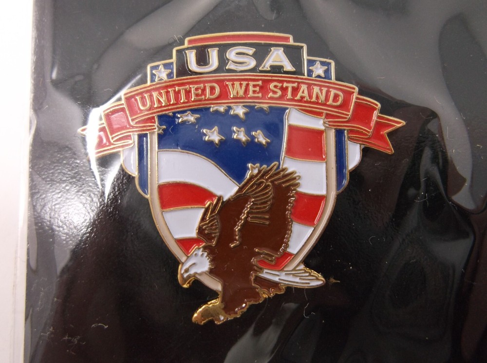 USA United We Stand Pin