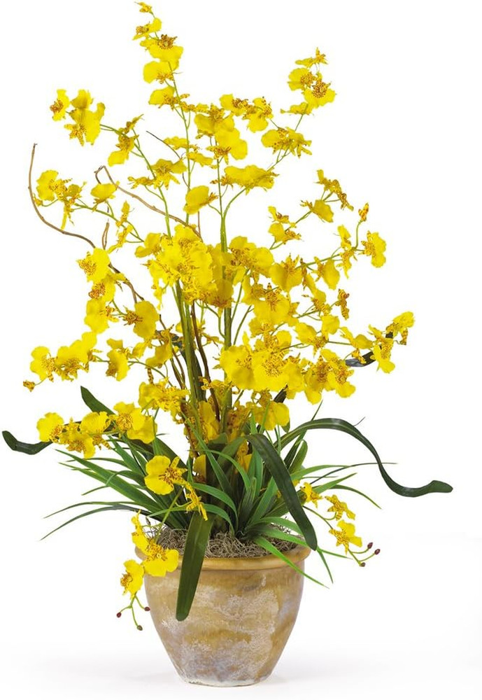Dancing Lady Silk Orchid Arrangement