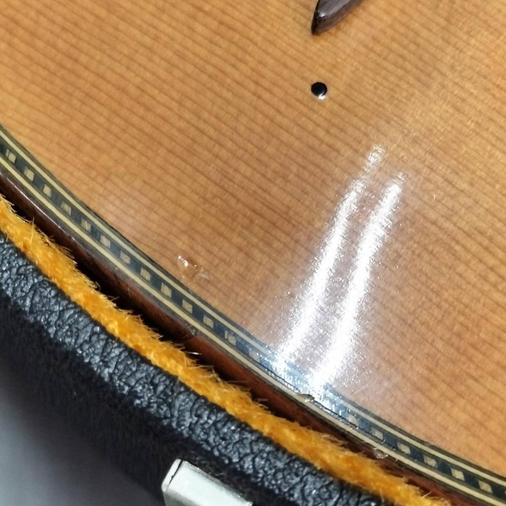Mandolin SUZUKI M-215 with hard case