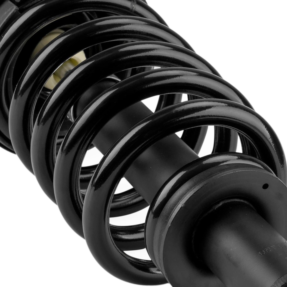 Rear Struts Shocks Coil Spring for 2007-2017 Expedition 171139 2PCS