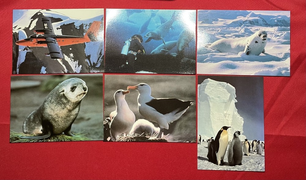 56 x British Antarctic Territory BAS Postcards