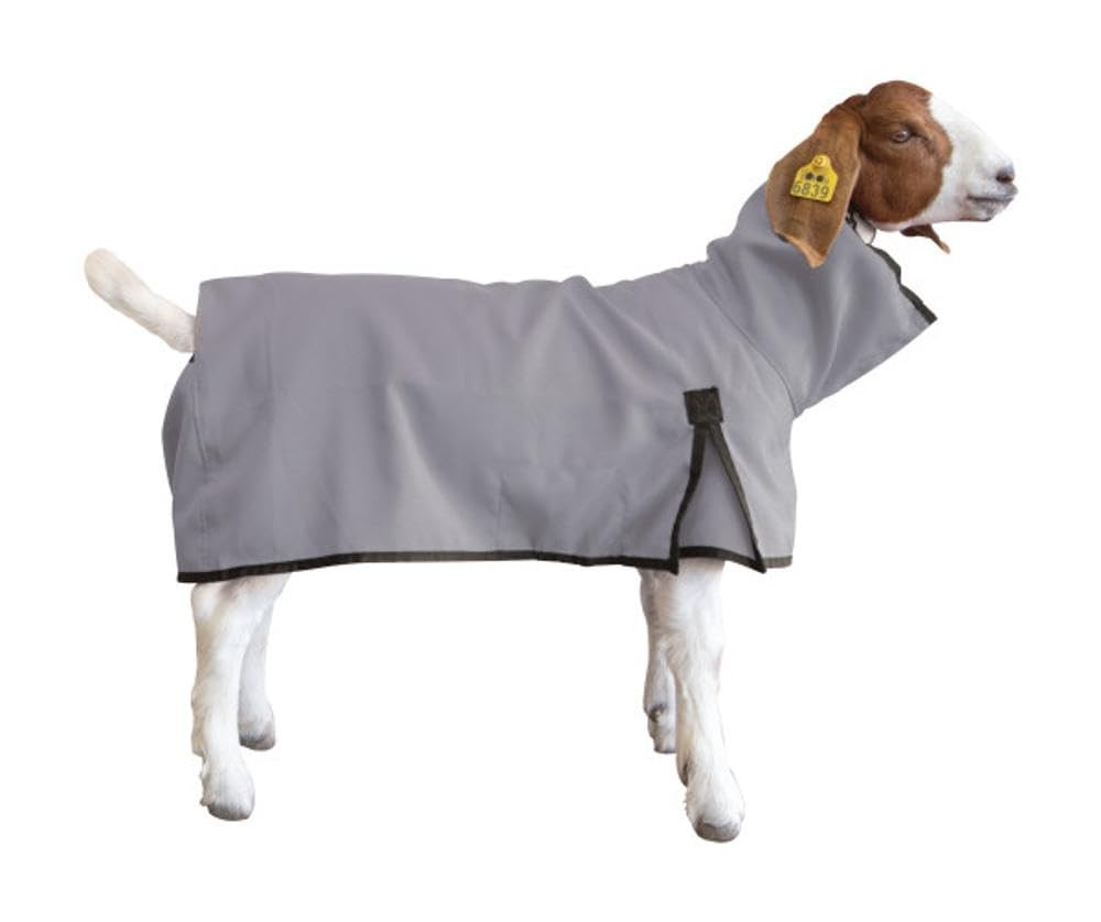 Goat Blanket, Medium, Gray