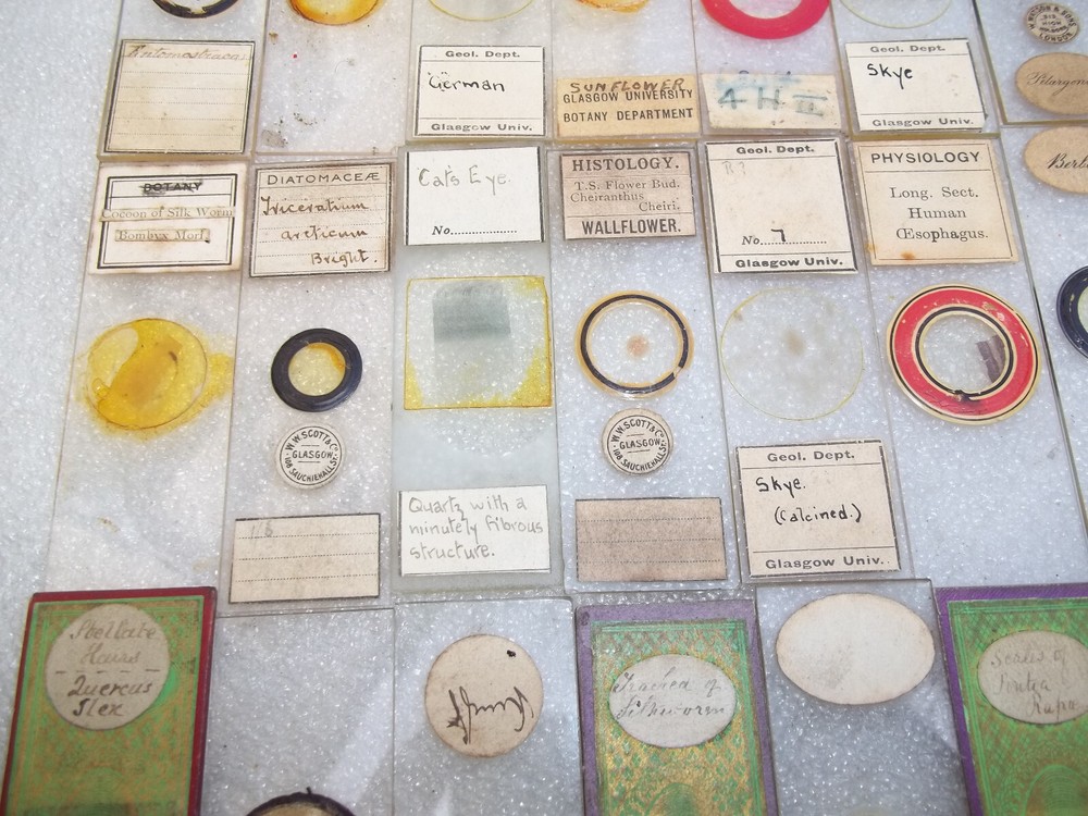 Antique Victorian Glass Microscope Slides