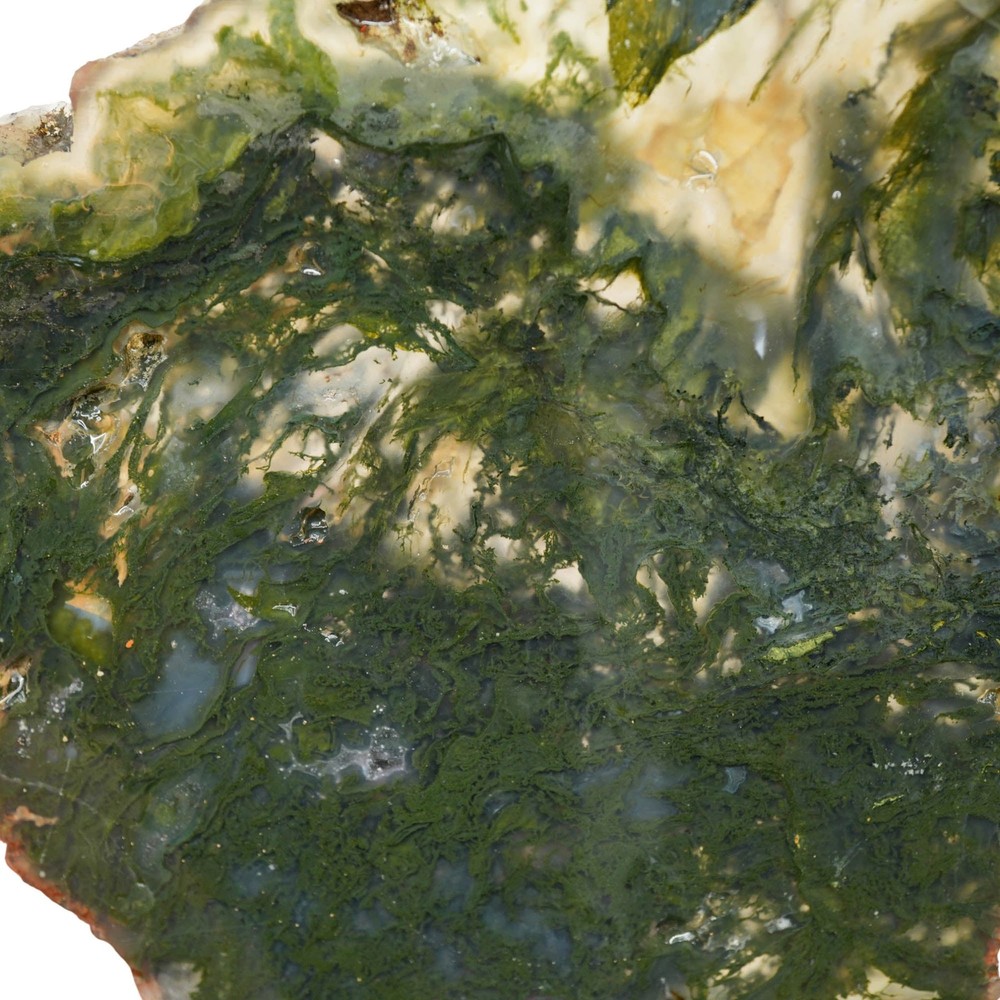 Maury Mountain Moss Agate Slab - Green Moss with Translucent Agate