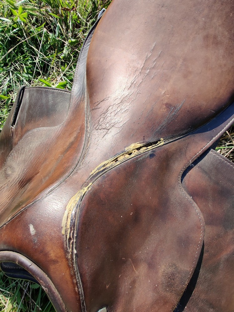 Crosby 'Corinthian' All Purpose Saddle