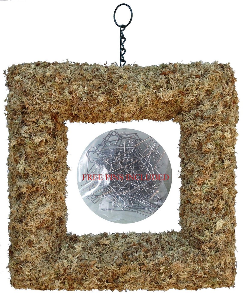 9" Living Wreath Sphagnum Moss Square Form Complete