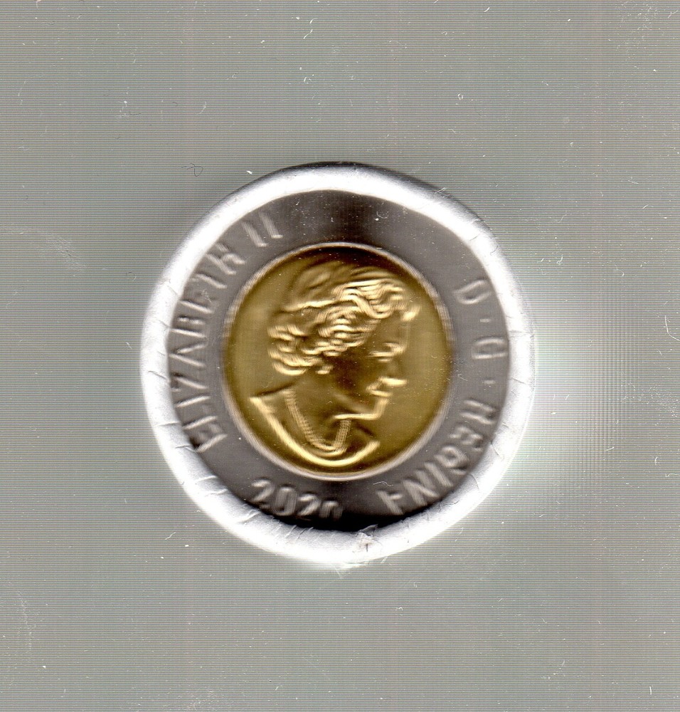 2020 POLAR BEAR DESIGN TOONIE MUST S@@!!!!!