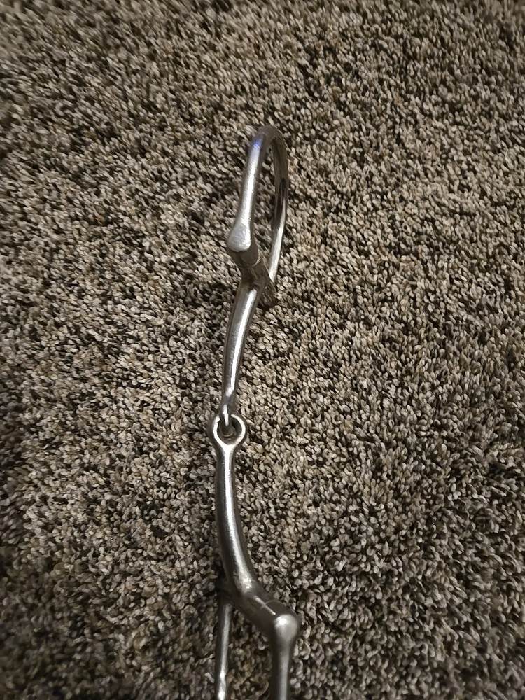 d ring snaffle bit