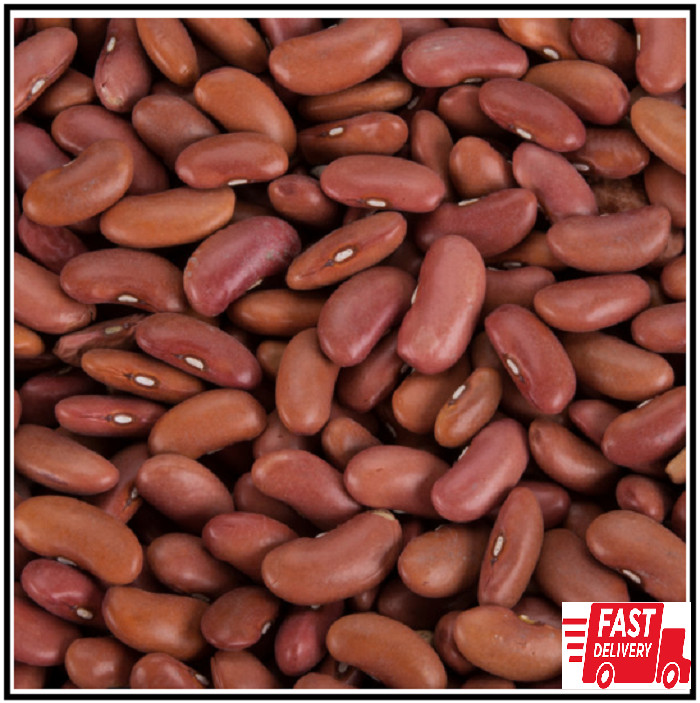 20 lb. Bulk Restaurant Diner Hotel Kitchen Supply Assorted Light Red Kidney Bean