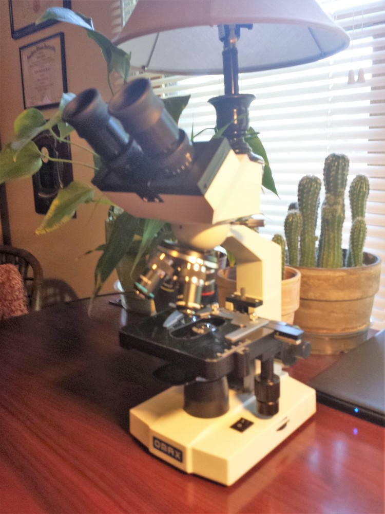 Microscope 32 mm Polarizing Filter Set - Affordable Must Have Accessory Set!