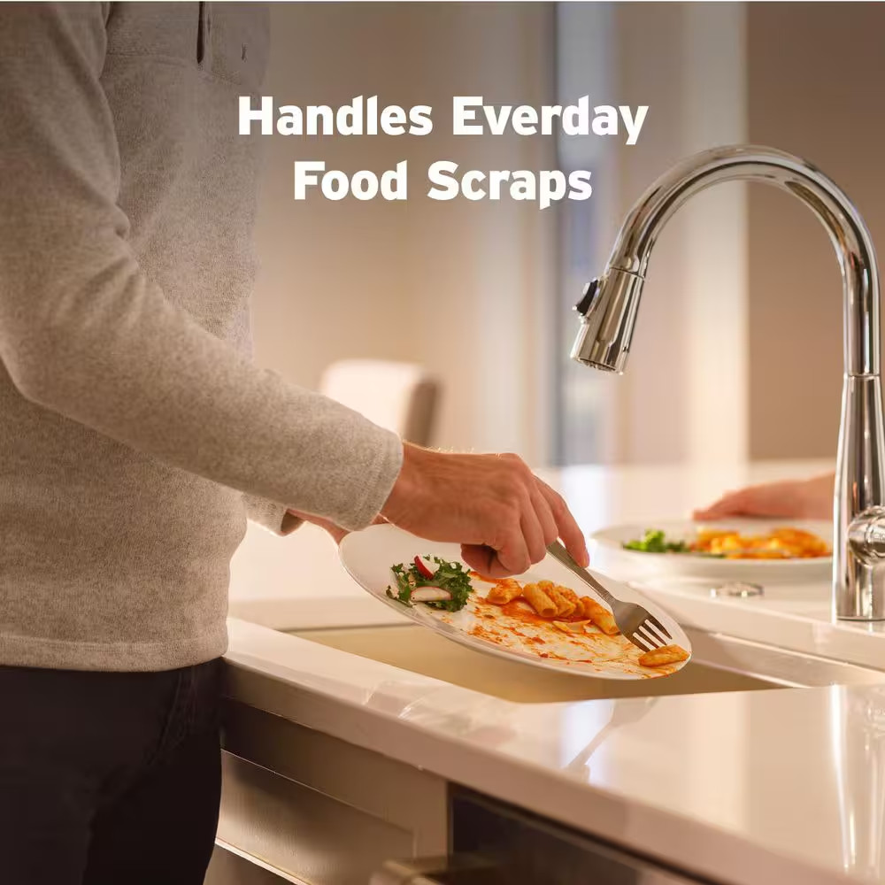 Badger 100, 1/3 HP Continuous Feed Kitchen Garbage Disposal with Dishwasher Conn