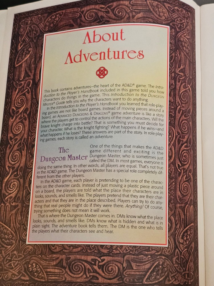 Rare Advanced Dungeons & Dragons Intro Masters Guide 1995