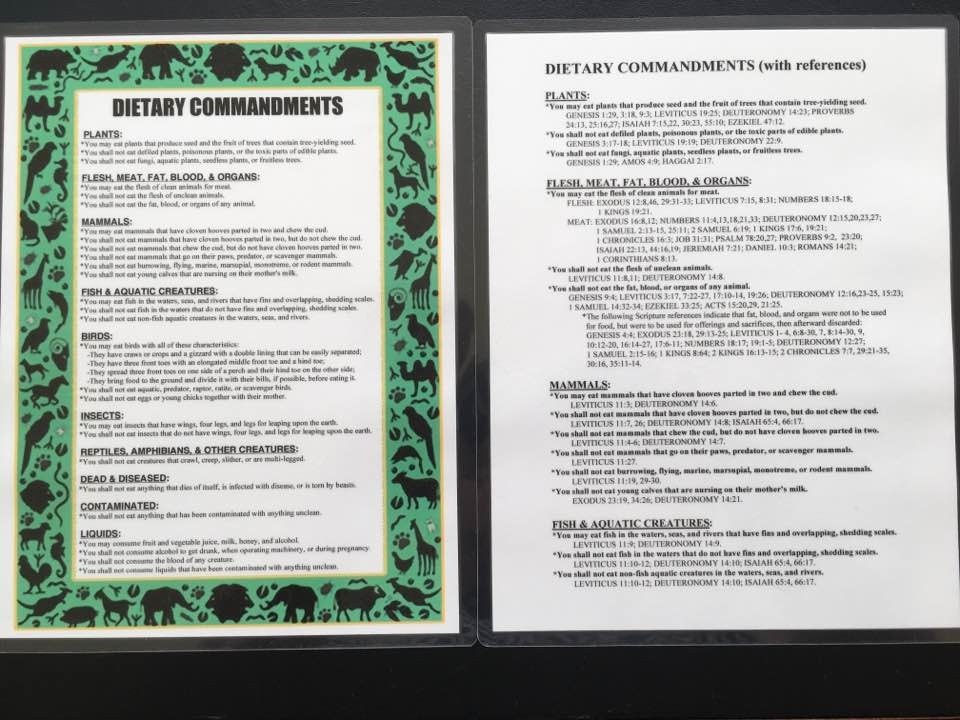 DIETARY COMMANDMENTS LAMINATED PRINT w/ Laminated Torah Scripture References