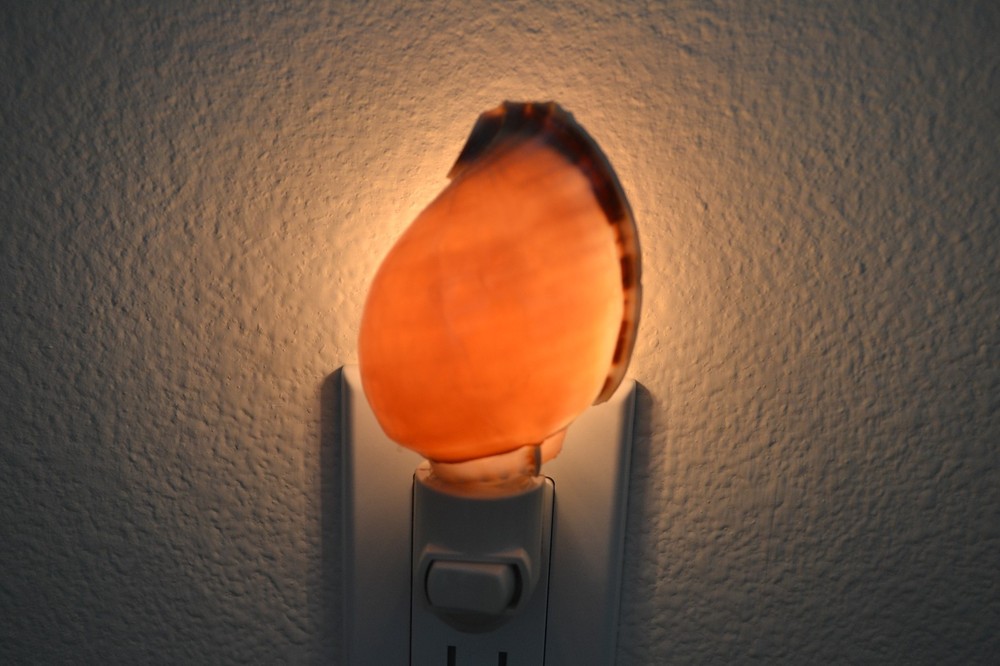 CONCH SEA SHELL NAUTICAL HOME DECOR KITCHEN BEDROOM NIGHTLIGHT