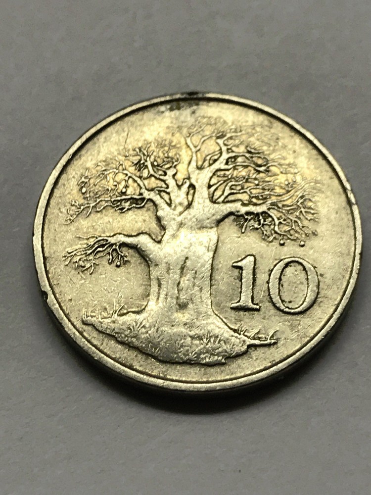 1994 Zimbabwe 10 Cents VF #7151