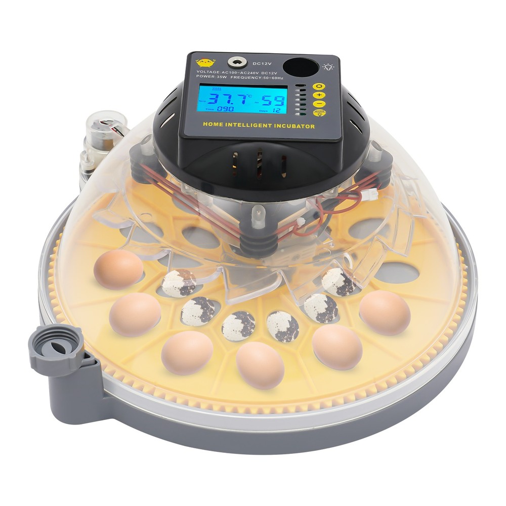 12 Eggs Incubator Egg Turning & Humidity Control Automatic For Hatching Eggs