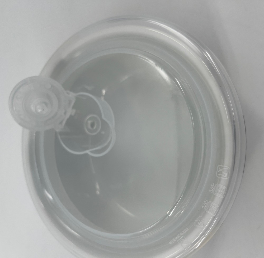 Peanuts Gang Small Food Storage Container - Conversations