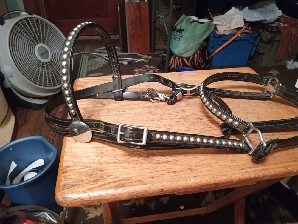 Used biothane Show Halter black spotted