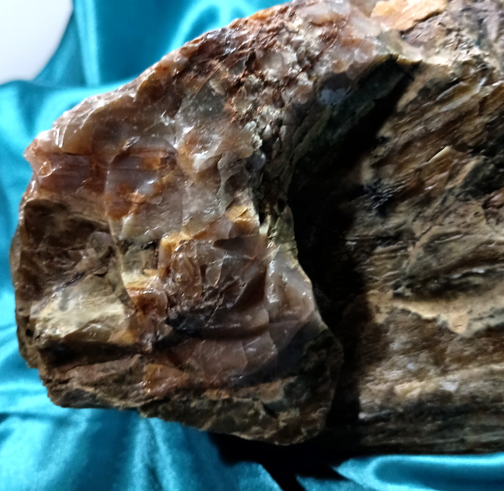 Opalized Petrified Wood Display Specimen WA State 7 LB 8 OZ