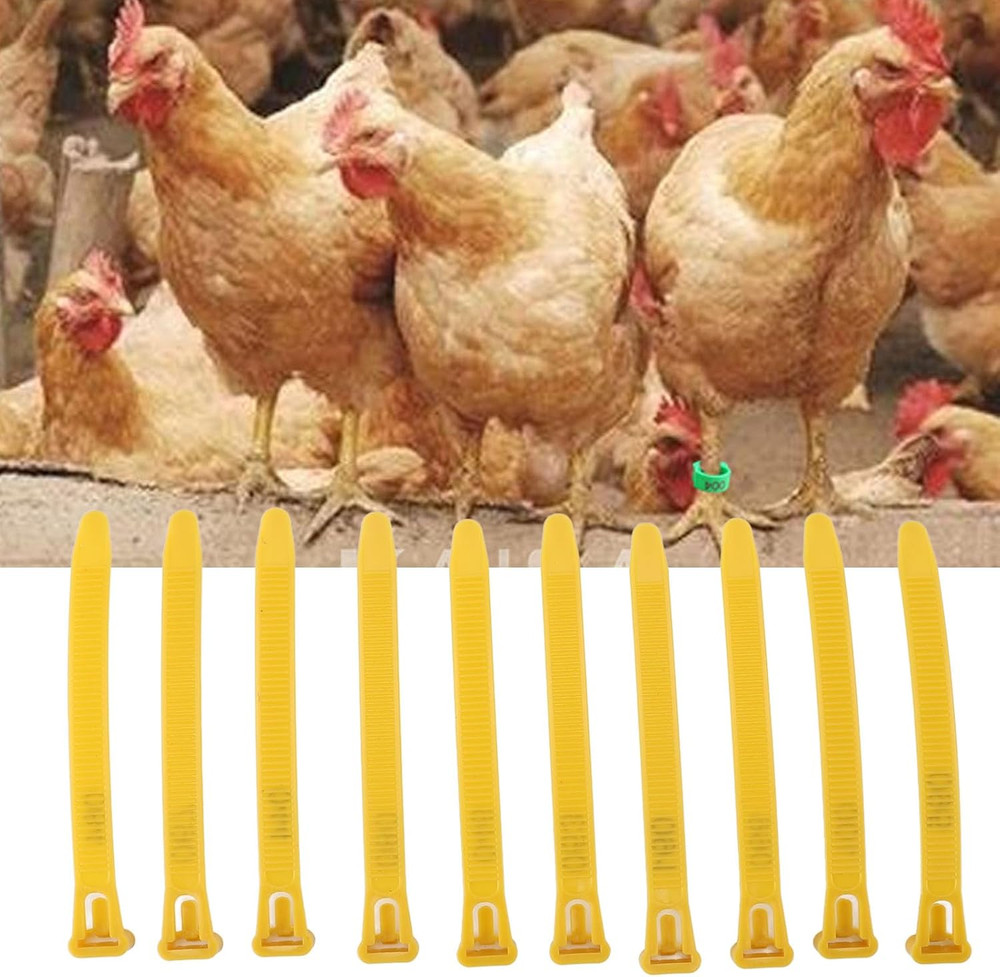 100pcs Chicken Leg Bands Rubber Chicken Identification Leg Bands Adjustable D...