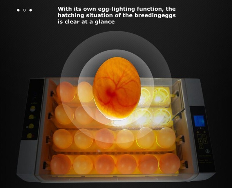 24 Eggs Automatic Egg Incubator Bird Poultry Hatcher Breeder Digital Display