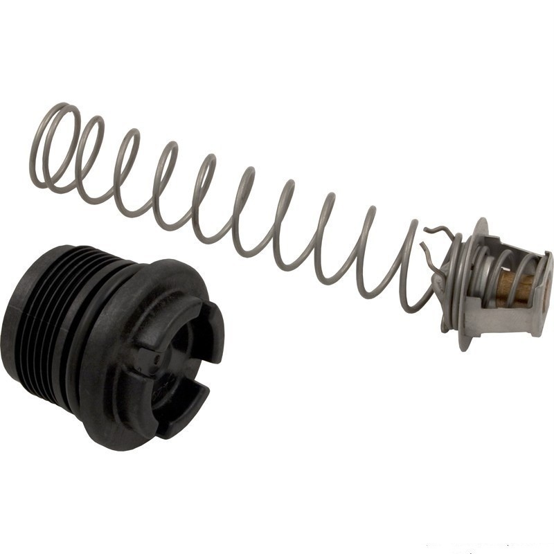 Sta-Rite Max-E-Therm Thermal Regulator Kit 77707-0010