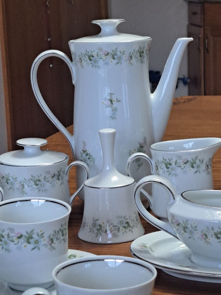 Johann Haviland Forever Spring Floral Scroll 31 Piece Dinnerware Grouping