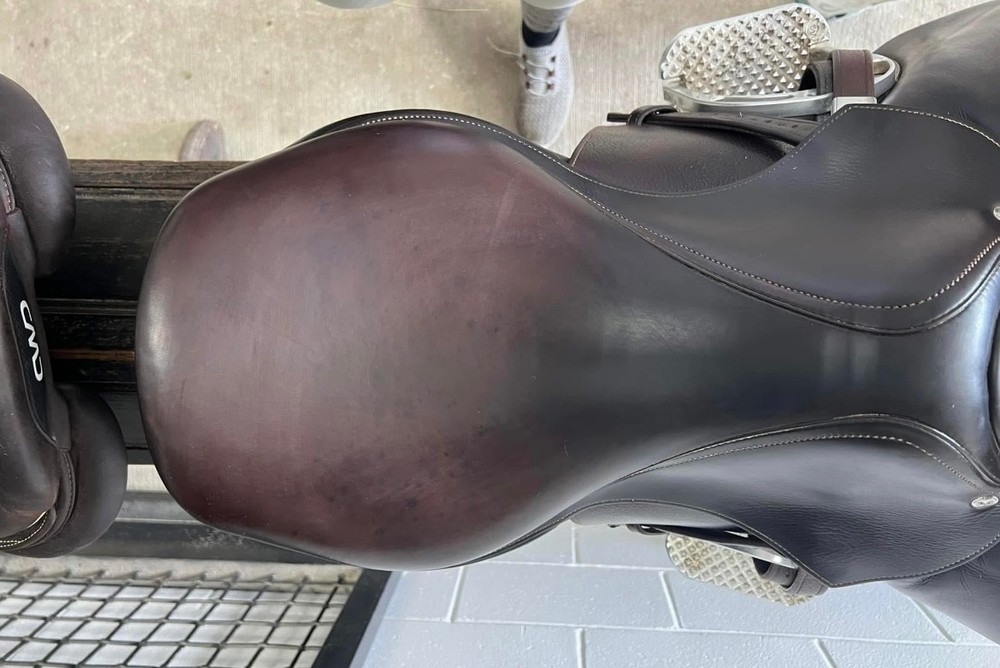 2021 Voltaire palm beach Saddle