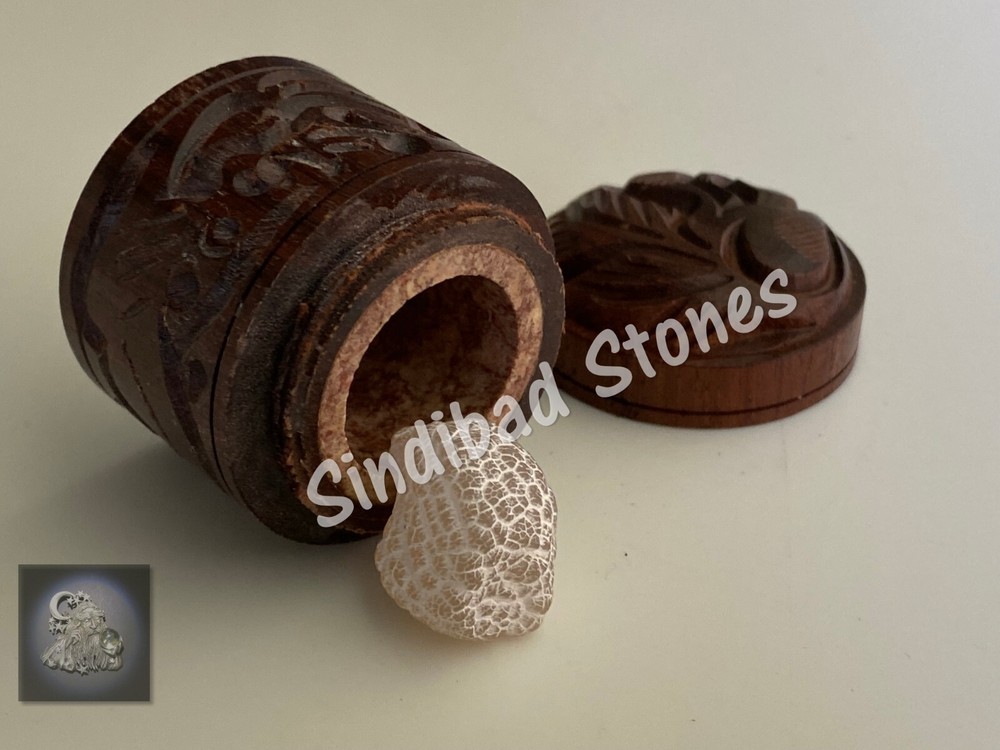 Snake Vomit - Power, Success, and Love زوعة الحية - قيء الثعبان - قوة ونجاح وحب