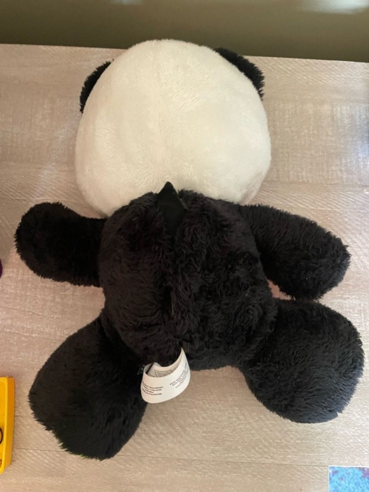 Winfun Learn with Me Panda Pal educational plush toy interactive learning bear