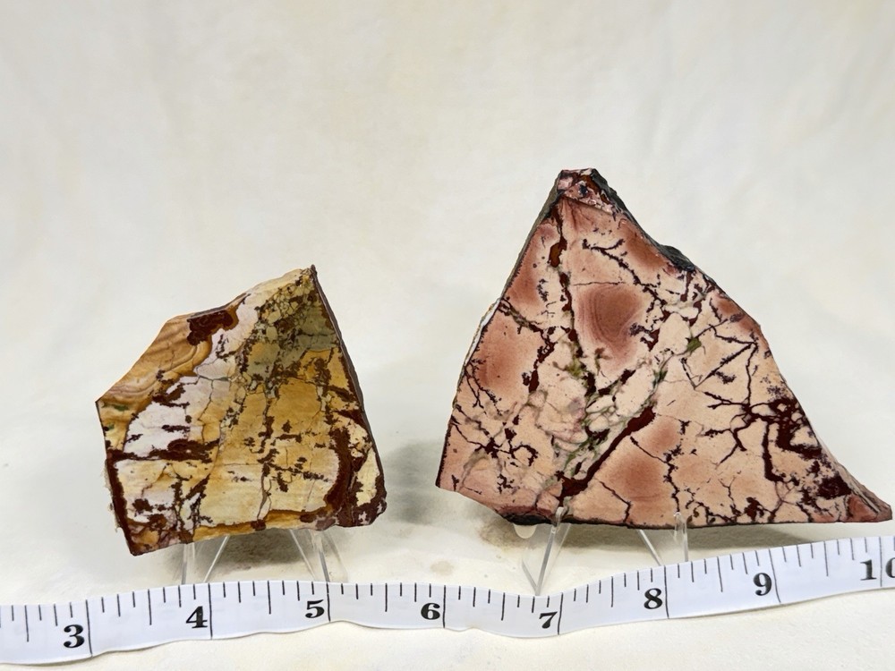 Dead Camel Jasper Slab Set, Lot#369