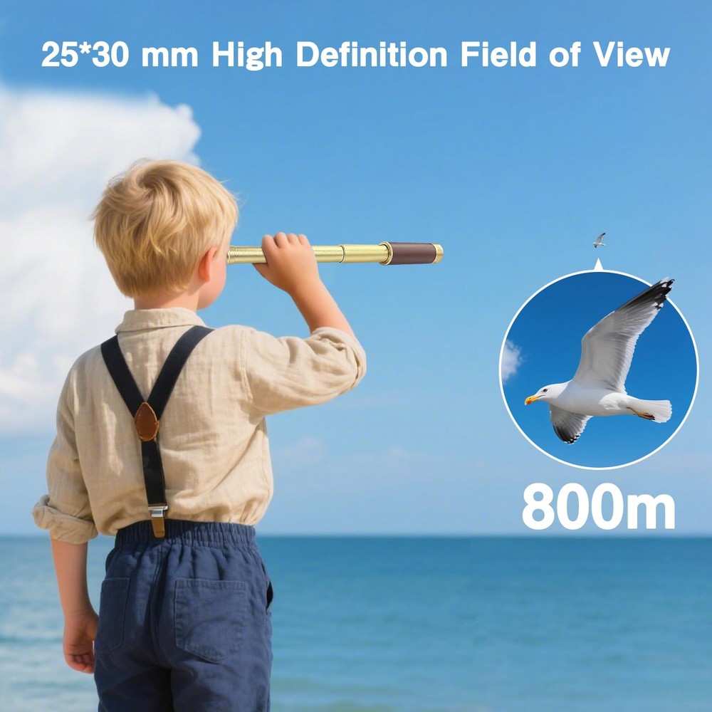 Laupha Retro Pirate Telescope Large, & Classical Compass