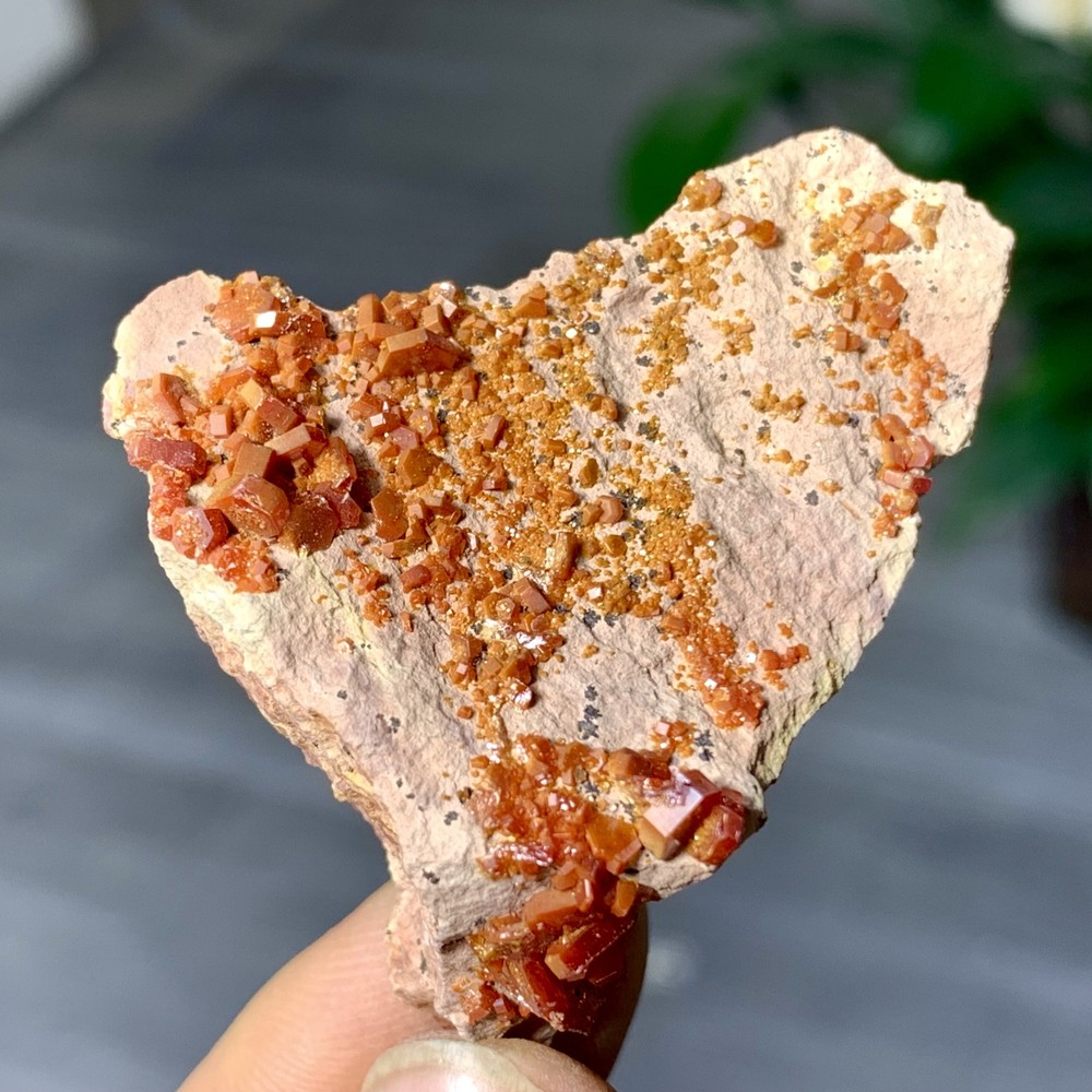 21GNatural Beautiful Vanadinite Atone Cluster Quartz Mineral SamplefromMorocco